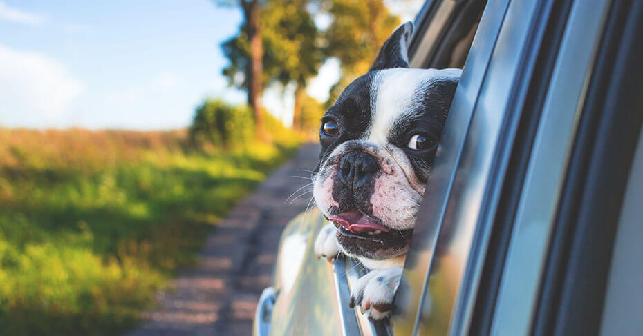 Try These Hacks for Saving Money on Auto Insurance